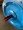 Imagem 5
